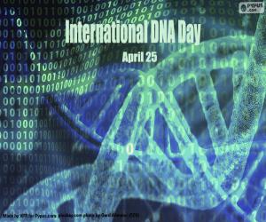 Puzzle Διεθνής Ημέρα DNA